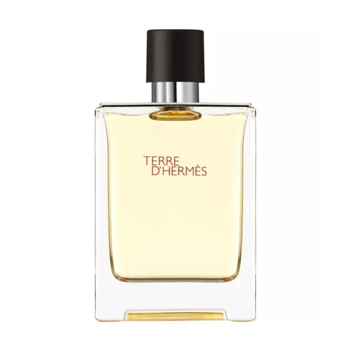 Hermes Terre d'Hermes EDT 100 ml – Perfumy męskie