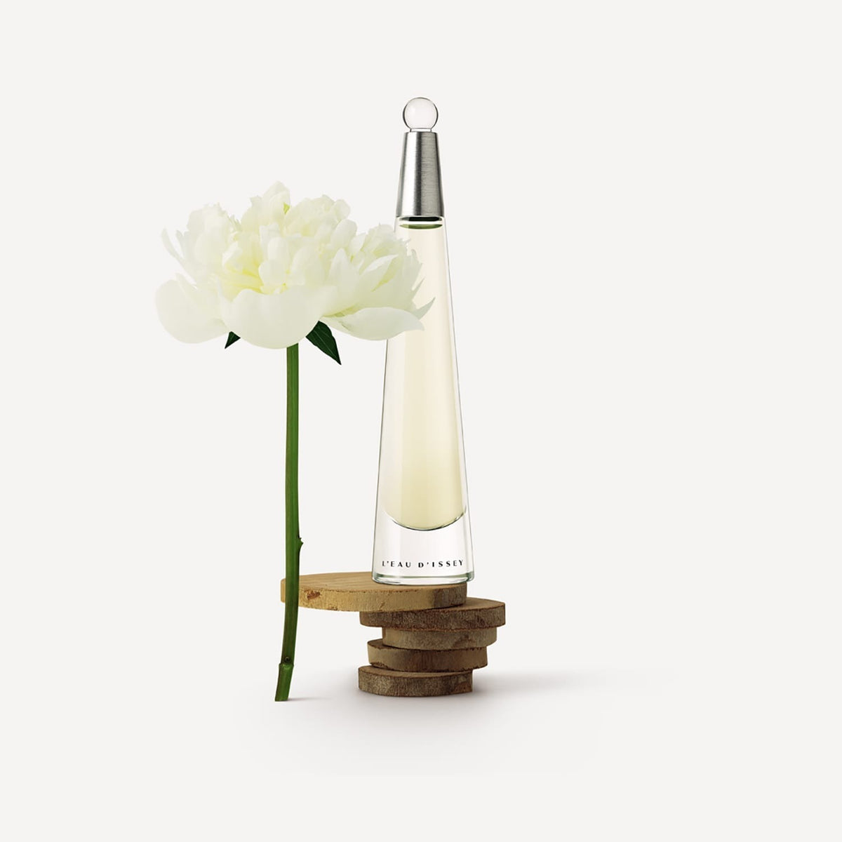 ISSEY MIYAKE2