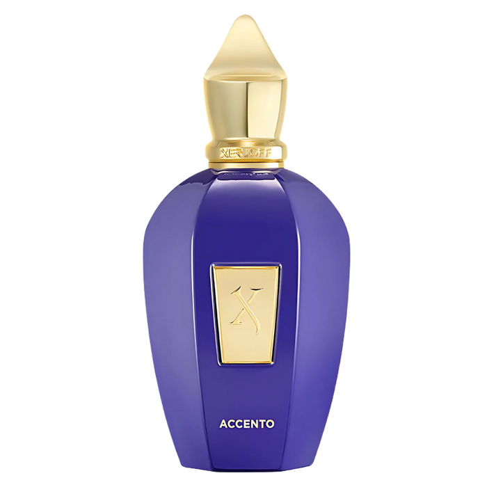 Xerjoff Accento Vibe Collection EDP 100 ml – Perfumy unisex premium